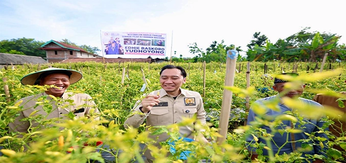 Ibas Bertemu Petani Cabai di Ngawi Pastikan Harga Tetap Stabil